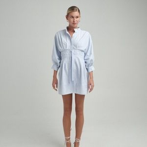 The Femm Brand New L/S Button Down Dress (Blue/White Stripe)